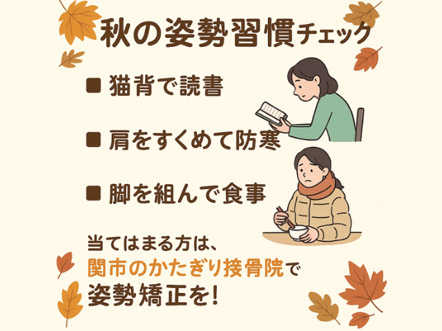 🏃‍♂️スポーツの秋は姿勢から🏃