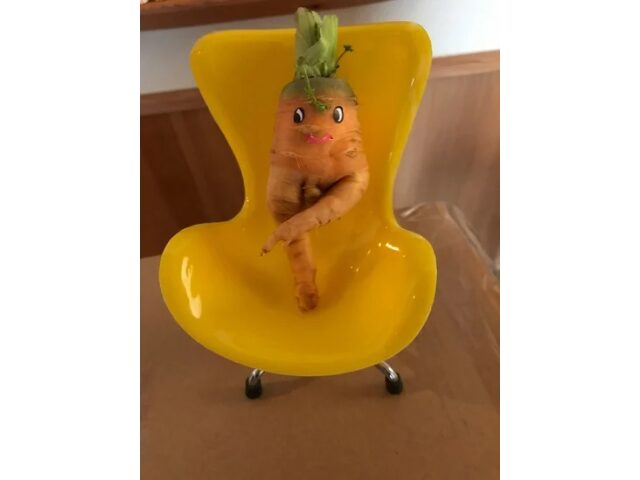 ＼脚を組むクセ、ニンジンにも出ます／🥕😆