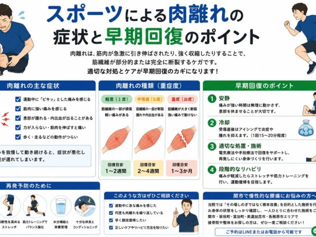 スポーツによる肉離れの症状と早期回復のポイント【関市 かたぎり接骨院】｜当日予約OK・腰痛/肩こり/交通事故対応