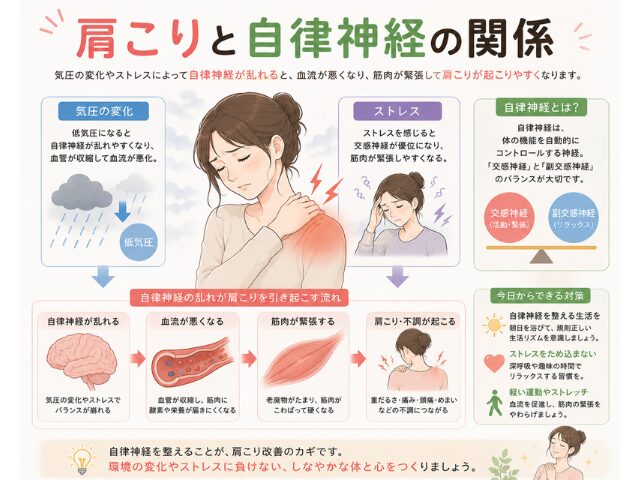 【肩こりと自律神経の関係とは？】【関市 接骨院】｜当日予約OK・腰痛/肩こり/交通事故対応