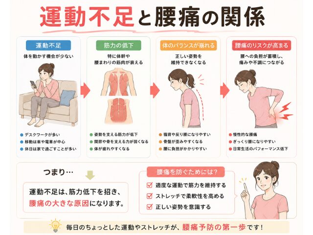 【運動不足が腰痛を悪化させる理由】