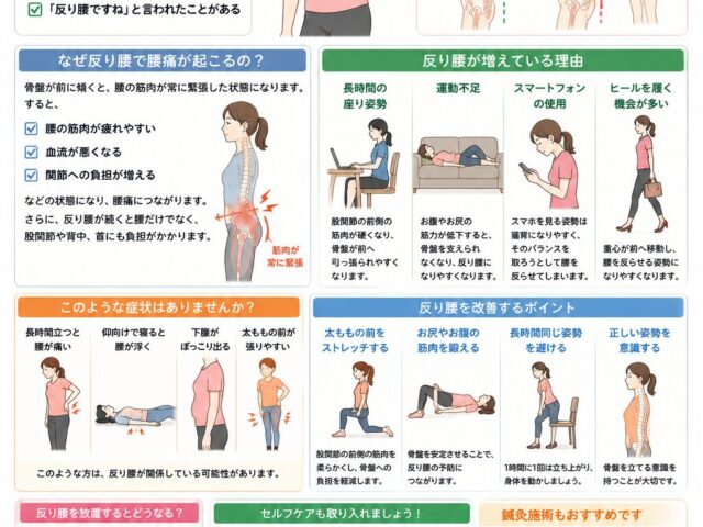反り腰による腰痛が増えている理由【関市 かたぎり接骨院】｜当日予約OK・腰痛/肩こり/交通事故対応