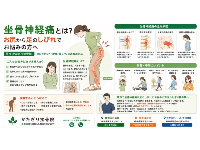 坐骨神経痛とは？お尻から足のしびれでお悩みの方へ【関市 かたぎり接骨院】｜当日予約OK・腰痛/肩こり/交通事故対応